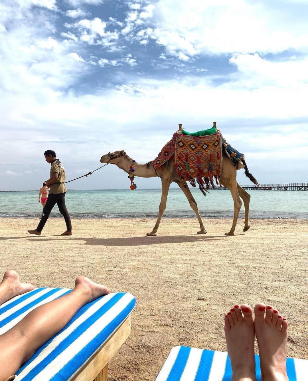 Romance Regency Club (Adults Only) Sharm el-Sheikh Eksteriør billede